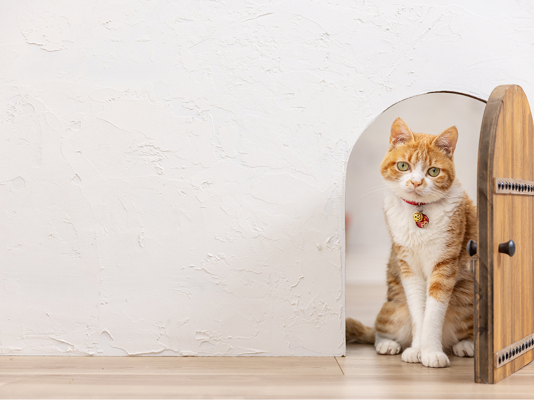 豊富なノウハウ